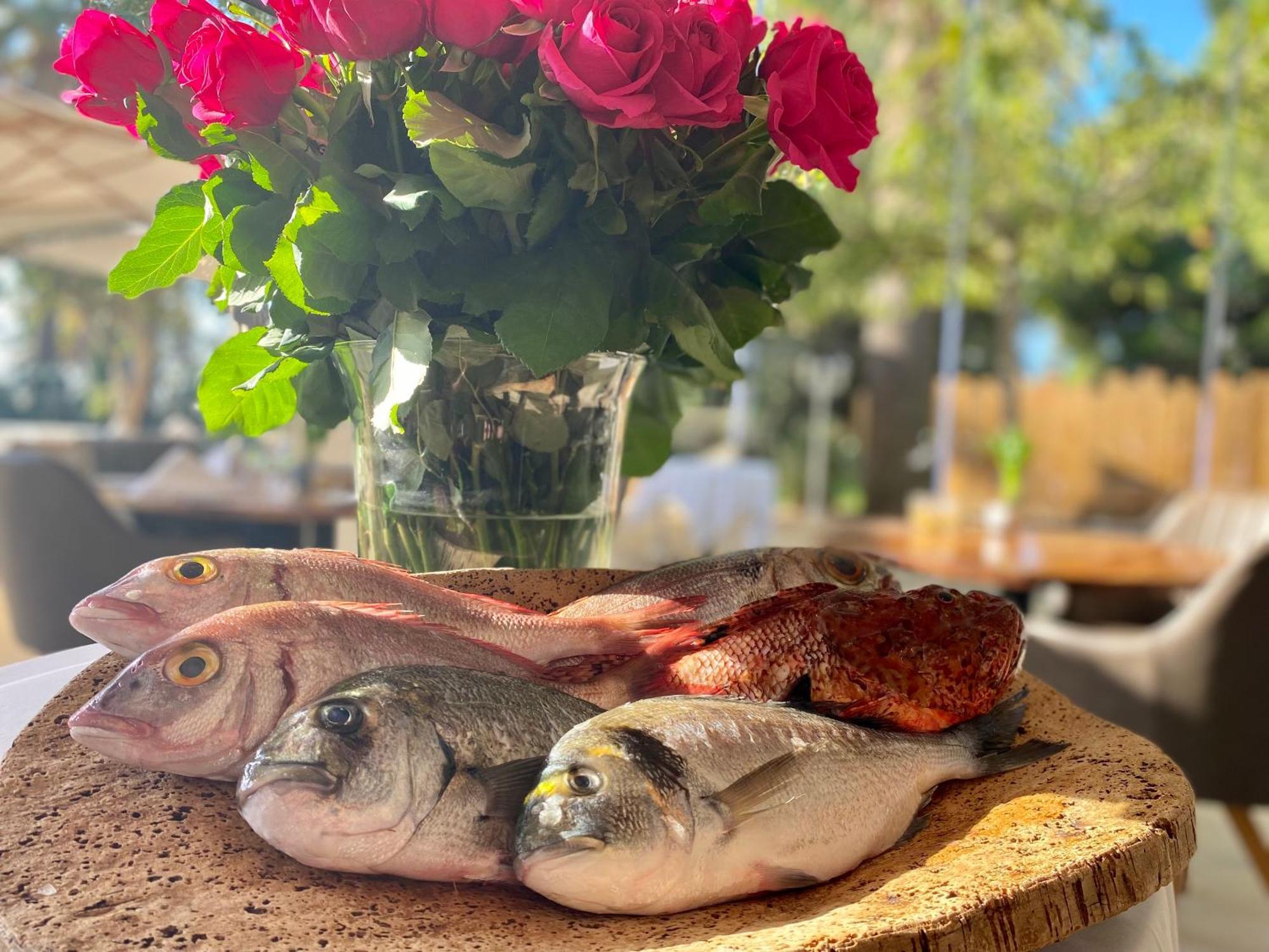 Hotel De La Mer Hyeres Ngoại thất bức ảnh